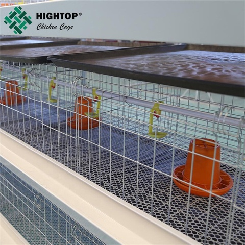 H type best price poultry farm egg layer Broiler chicken cage