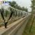 High quality double loop razor wire prison fence razor barbed wire fence