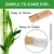 Import High Quality Eco-Friendly Natural 15PCS Biodegradable Bamboo Fiber Straw Logo from China