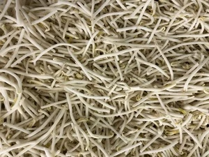 High Quality factory price iqf green vegetable fresh frozen mung beans sprouts