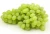 Import High Quality Fresh Seedless Green Grapes from South Africa