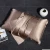 Import High Quality Luxury 100% Mulberry Silk Pillowcase Pure Colors Slik Satin Pillow Case from China