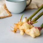 High quality new crop fresh ginger
