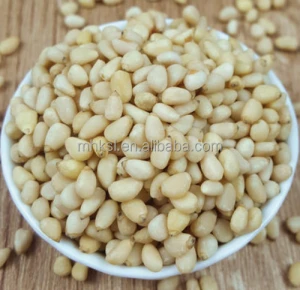 High quality pine nuts good price from china factory