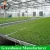 Import High Quality Seed Bed For Agriculture from China