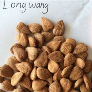 High quality supplying of apricot kernels, sweet or 8% bitter available