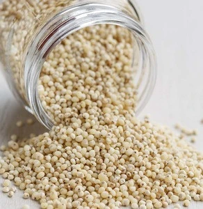 High Quality White Sorghum for Sale