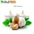 High quality with competitive price garlic extract