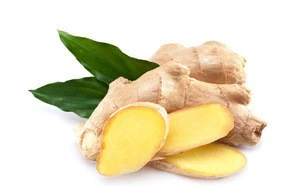 HONGDA Factory Supplyt Ginger Extract Powder Extract Green Healthy Ginger Extract