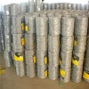 Hot dipped galvanized reverse twist barbed wire
