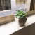 Import Hot indoor decoration Mini Artificial Plants potted with mini white square base for home decoration from China
