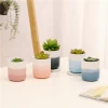 hot sale wholesale matt home decoration plant stand mini ceramic succulent pot
