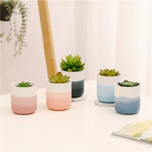hot sale wholesale matt home decoration plant stand mini ceramic succulent pot