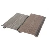 Hotel building material  external WPC wall cladding/panel /board