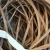 Import INSULATED COPPER WIRE SCRAP from China