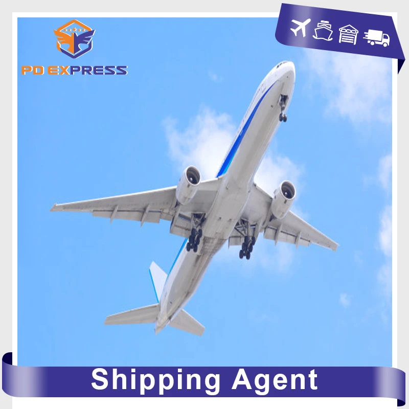 International Air Shipping Air Freight Air Cargo from China to Uganda Nigeria South Africa Algeria
