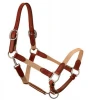 Leather Halter with cotton webbing