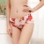Import Low MOQ Young Girls underwear One Piece Ice Silk Women Seamless Floral Panties breathable ultrathin Invisible Printing Thong from China