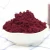 Import LUJIA   natural freeze dried fruit juice powder vacuum fruit lyophilizer  wholesale freeze dried blueberry powder from China