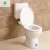 Import Manufacturer customized smart intelligent toilet bowl from China
