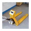 Manufacturers Supply There Warranty Function Well Steel Pallet truck with scale