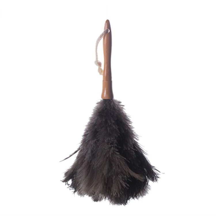 Masthome Long handle car cleaning  air furry feather ostrich duster for living room