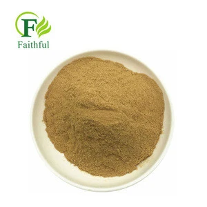Medical Grade Ginger Root Extract/ginger Root P.e. Ginger Extract Powder