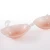 Import Micolan Clear Strap Adhesive Invisible Silicone Bra Size A B C D E F from China