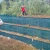 Military welded mesh gabion hesco barrier/ protective flood barrier from hesco/ hot dipped galvanized iron wire welded 7.5 mesh