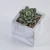 Import Mini Home Decoration Plastic Succulent Bonsai Artificial Potted Plant in Marble Grain Cement Pot from China