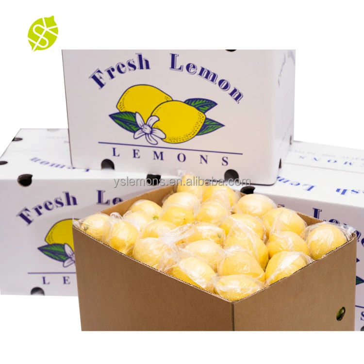 Montale  Wholesale Yellow High Quality Healthy Citrus Fruit Fresh Lemons