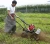 Import Multifunctional rotary cultivator two-stroke two-wheel Tiller weeding machine from China
