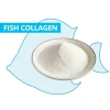 Nano Collagen Protein Hydrolyzed Powder Edible hydrolyzed fish to supplement collagen protein powder