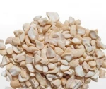 Natural Cashew Nuts , Packaging Size: 10 kg, Grade: W400, W320 All types