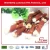 Import Natural Fish Skin Plait Pet Food Factory from China