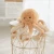 Import NEW 2020 cute super quality soft realistic stuffed plush animal toy octopus from China