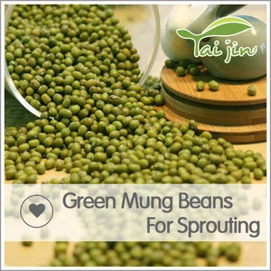 New Crop Common Cultivation Sprouting Green Mung Beans