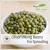 Import New Crop Common Cultivation Sprouting Green Mung Beans from China