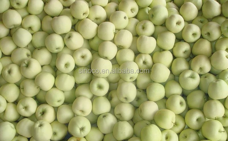new crop Fresh Golden delicious Apple (88/100/113/125)