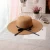 Import New Design Cheap Custom Paper Women Sun Wide Brim Straw Hat from China