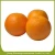 Import New fresh orange fruit specific from China