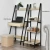Import New Style industrial Wooden Display Shelving Ladder children Shelf Bookcase from China