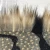 Import OEM Factory Directly Sale Acrylic Polyester Shaggy Faux Fur Fabric from China