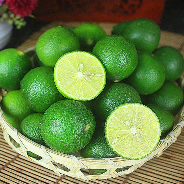 Orange OEM Style Fresh Green Lemon with competitive price