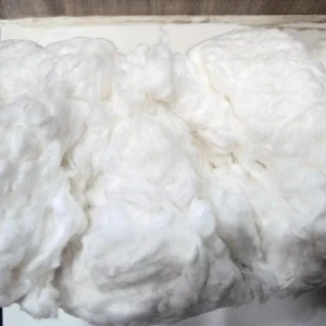 Organic cotton bales low price cotton spinning for sale