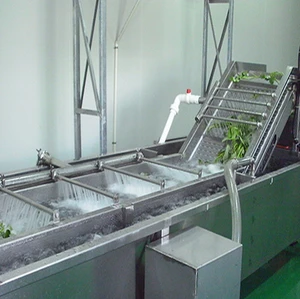 Ozone Fruit and Vegetable Washer /Vegetable Washing Machine