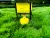 paddy field herbicide sprayer UAV sprayer six-axis solid drone 10 liter medicine box