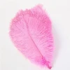 Party decoration beautiful Ostrich feather