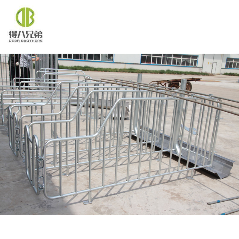 Buy Pig Farm Design Gestation Stalls For Sows Pig Equipment Pig Cage ...