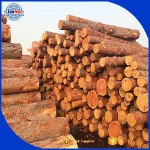 Pine round logs / pine wood / Pine wood price